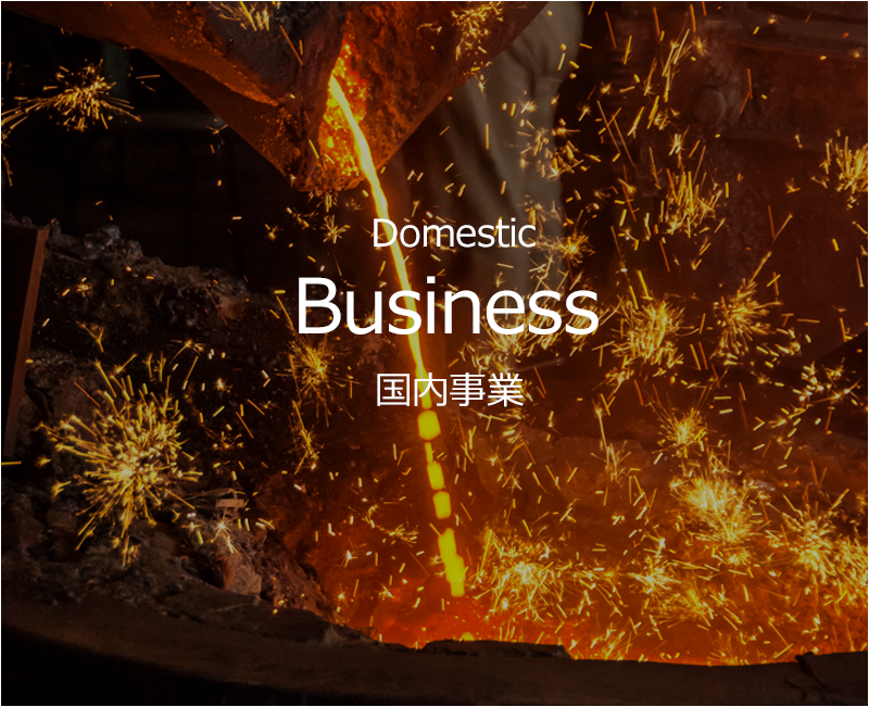 Domestic　Business　国内事業